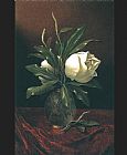 Martin Johnson Heade Two Magnolia Blossoms in a Glass Vase painting
